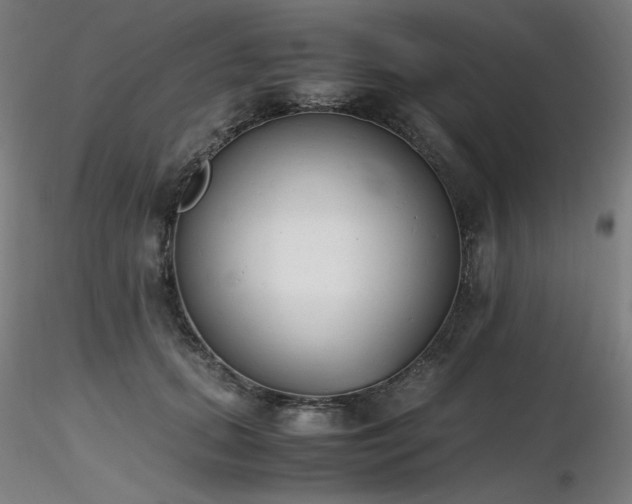 X0000116820655200912181409