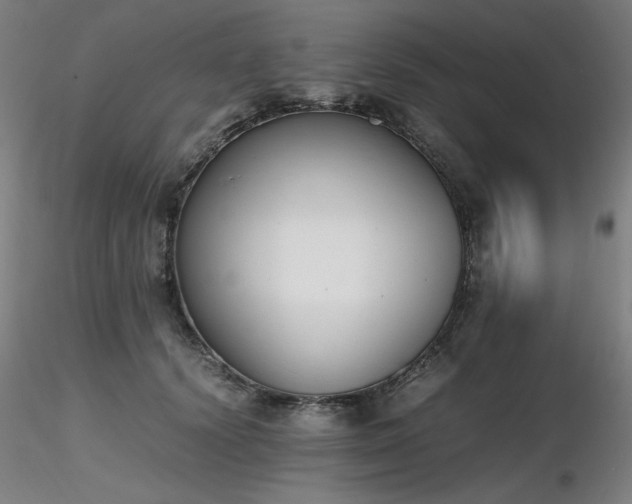 X0000116820656200912181409