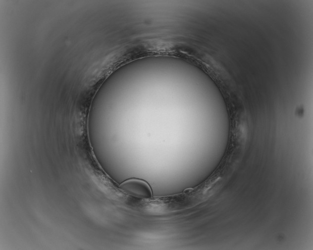 X0000116820658200912181409