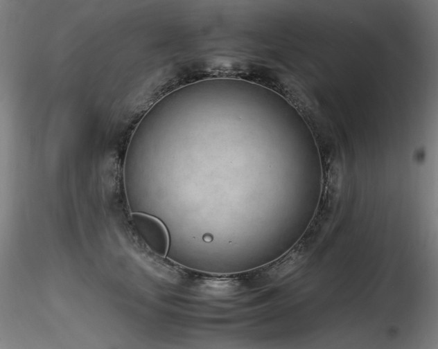 X0000116820659200912181409