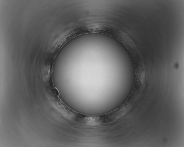 X0000116820660200912181409