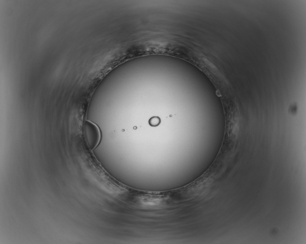 X0000116820661200912181409