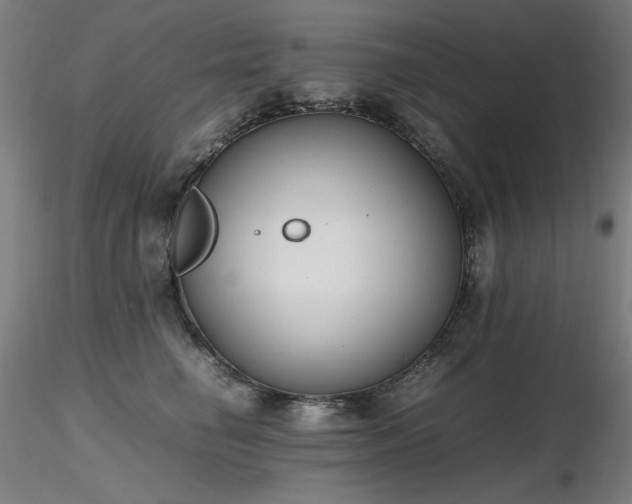 X0000116820662200912181409