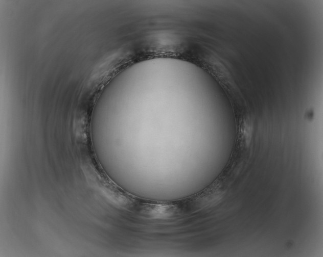 X0000116820663200912181409