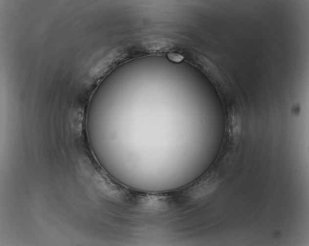 X0000116820664200912181409