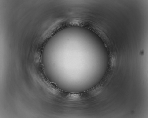X0000116820665200912181409
