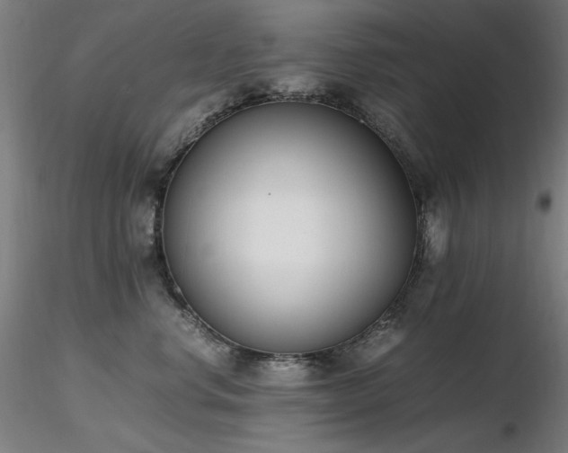 X0000116820668200912181409