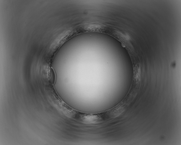 X0000116820669200912181409