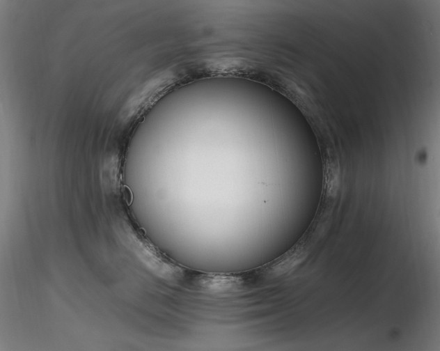 X0000116820670200912181409