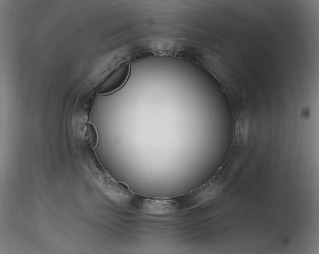 X0000116820671200912181409