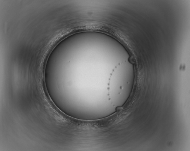 X0000116820673200912181409