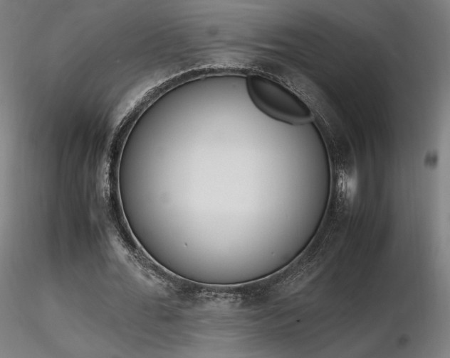 X0000116820676200912181409