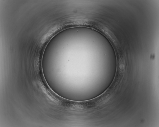 X0000116820677200912181409