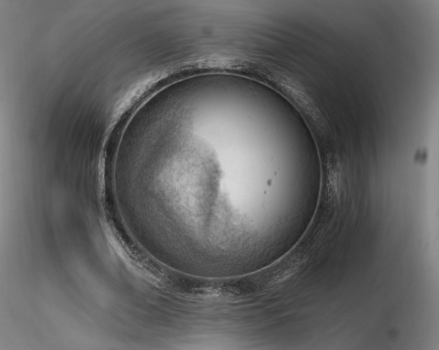 X0000116820678200912181409