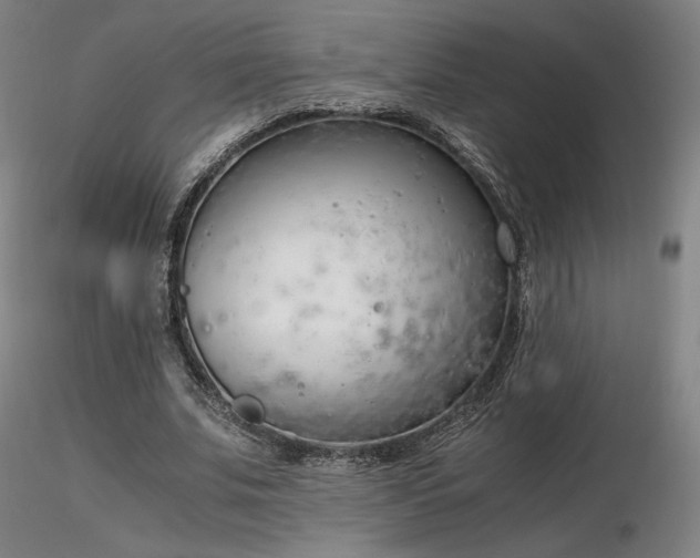 X0000116820679200912181409