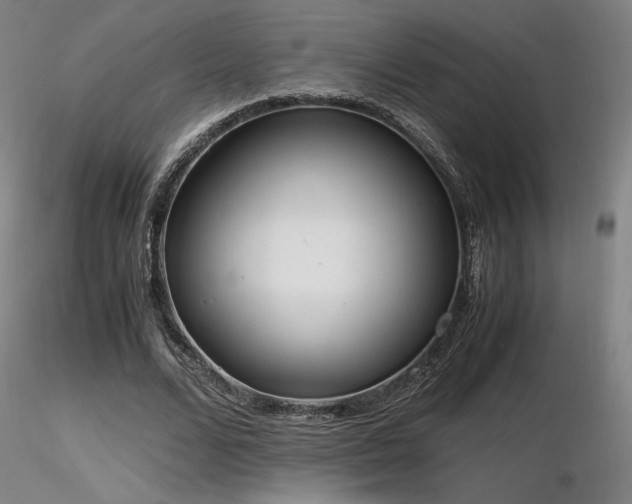 X0000116820680200912181409