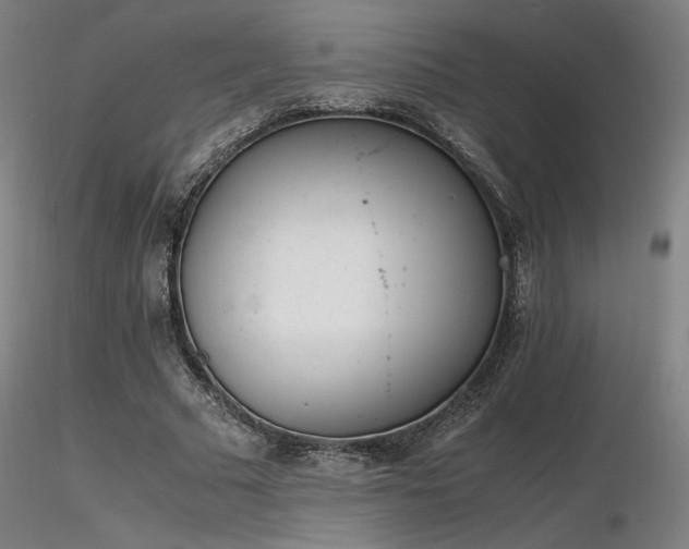 X0000116820681200912181409
