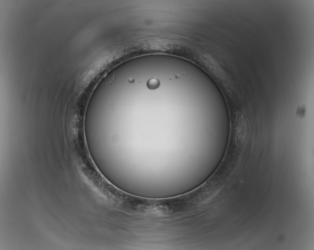 X0000116820683200912181409