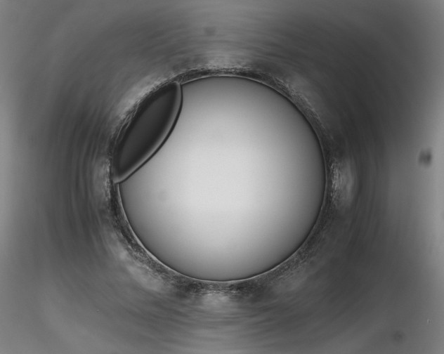 X0000116820684200912181409
