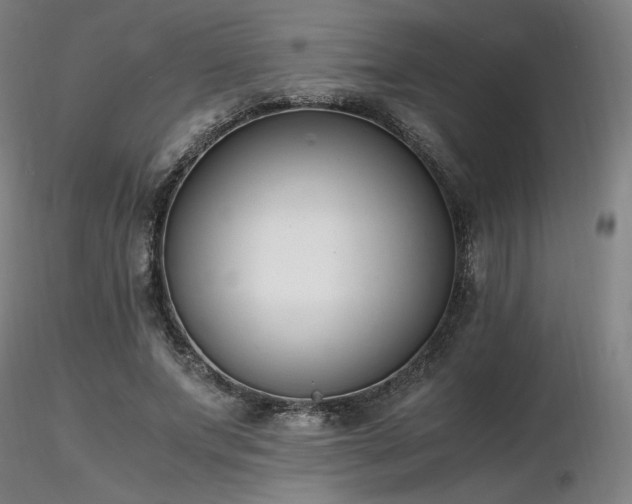 X0000116820687200912181409