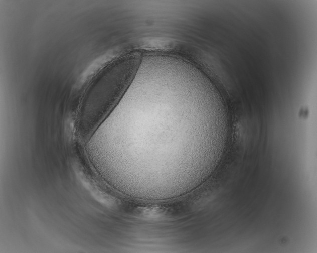 X0000116820688200912181409