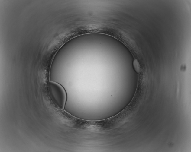 X0000116820689200912181409