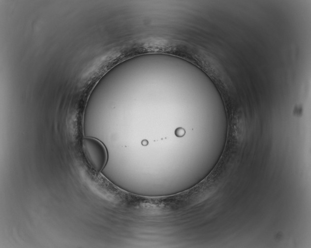X0000116820690200912181409