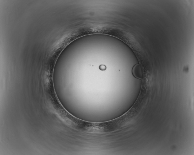 X0000116820691200912181409
