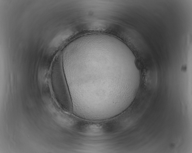 X0000116820692200912181409