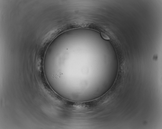 X0000116820693200912181409