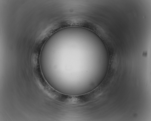 X0000116820695200912181408