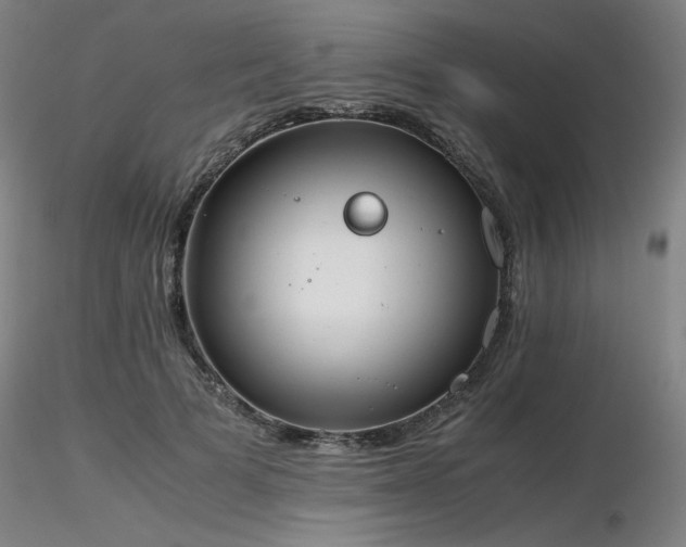 X0000116820697200912181408