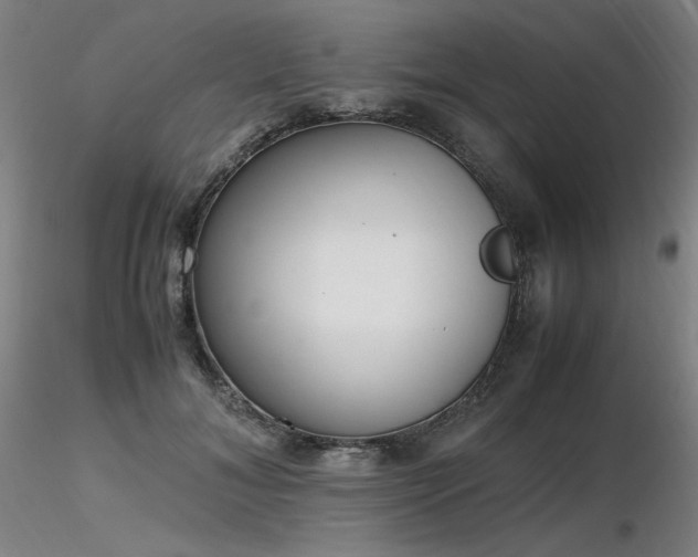 X0000116820700200912181408