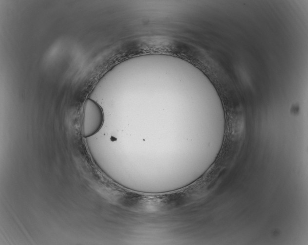 X0000116820701200912181408