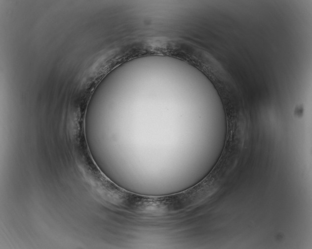 X0000116820702200912181408