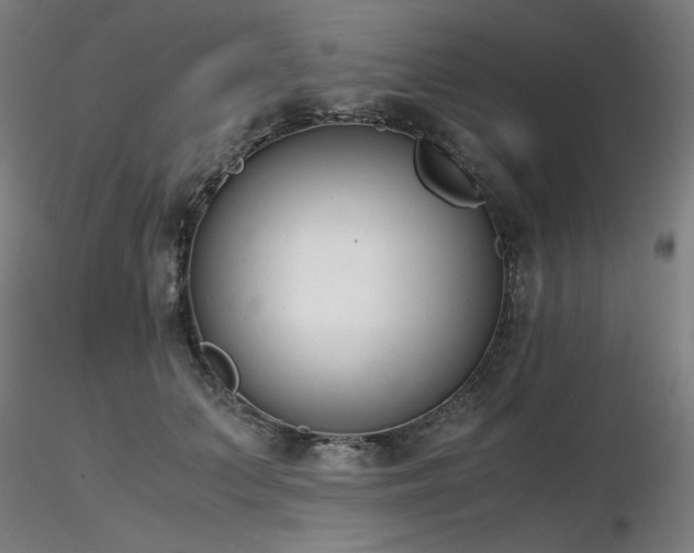 X0000116820703200912181408