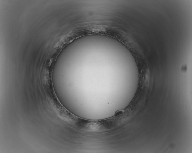 X0000116820704200912181408