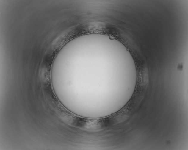 X0000116820705200912181408