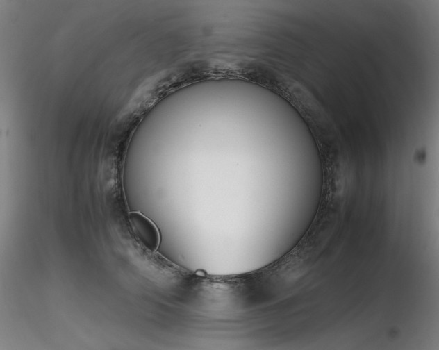 X0000116820706200912181408