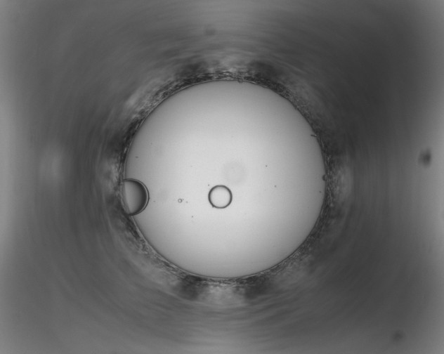 X0000116820709200912181408