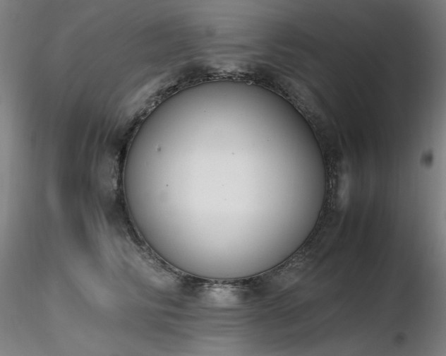 X0000116820710200912181408