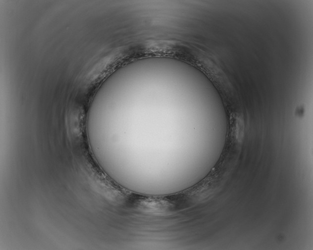X0000116820712200912181408