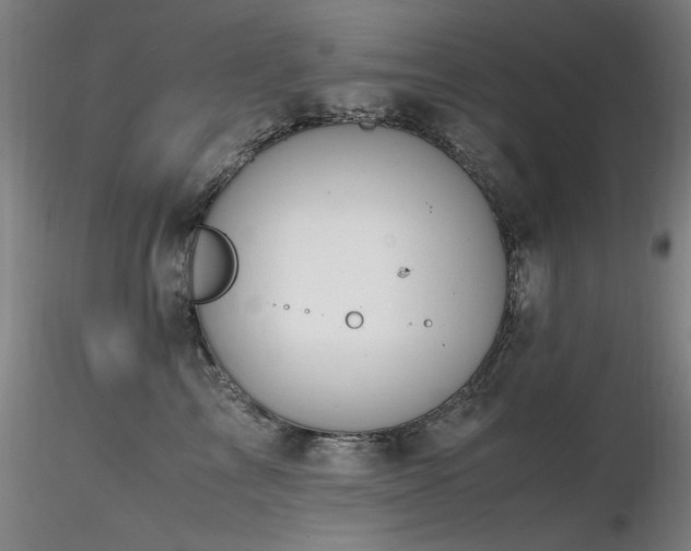 X0000116820713200912181408