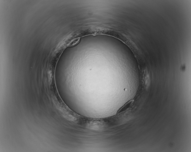 X0000116820716200912181408
