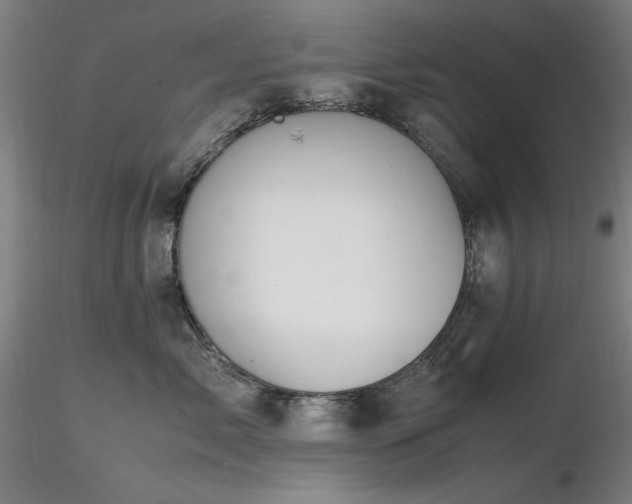 X0000116820717200912181408