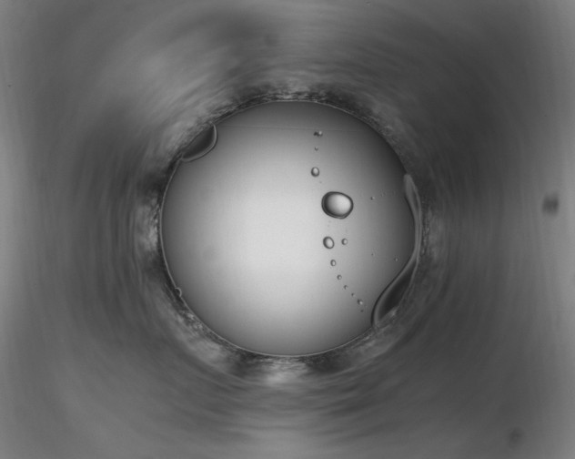 X0000116820719200912181408
