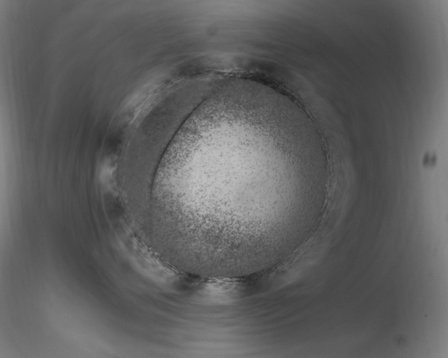 X0000116820720200912181408