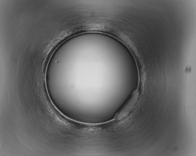 X0000116820721200912181407