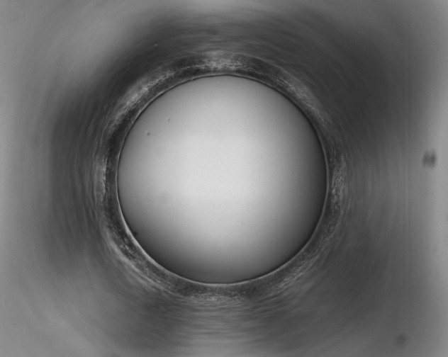 X0000116820722200912181407