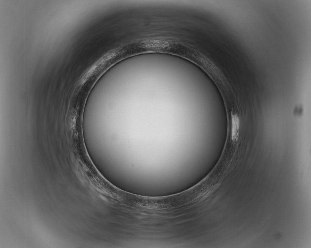 X0000116820723200912181407